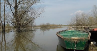 Moj zavičaj