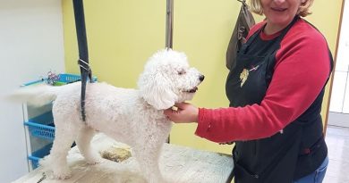 Ljudi koji vole svoj posao