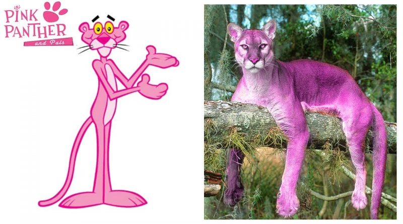Priče iz OŠ Šijana: Ako si pravi Pink Panther