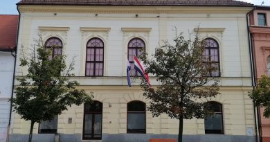 Priče Zmajčeka Pozojčeka: Zamisli život u ritmu muzike za ples