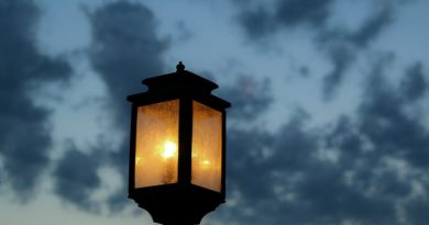 Ivana Grgurević: Lampa na kolodvoru