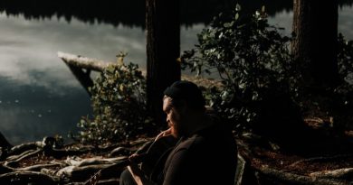Ivona Grginčić: Vječiti sanjar