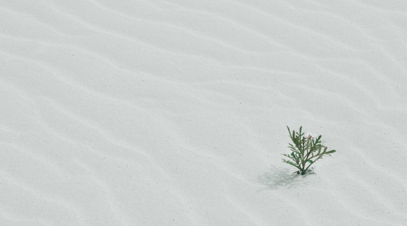green tree on sand