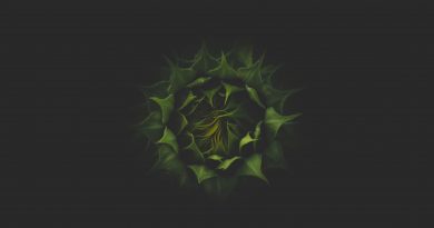 green plant in dark background
