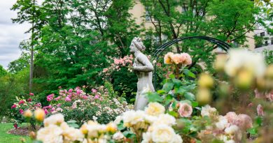 woman statue near plants and trees
