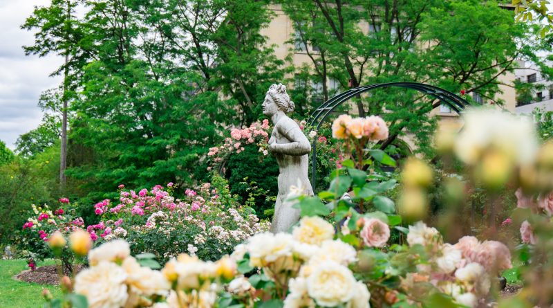 woman statue near plants and trees