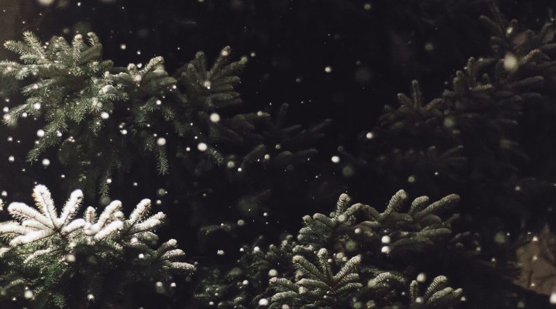 Ana Kuhar: Noć pred Božić