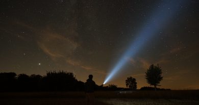 Domenika Potnik: Pjesma ljetne noći