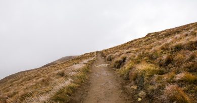 Domenika Potnik: O neznanome želim znati