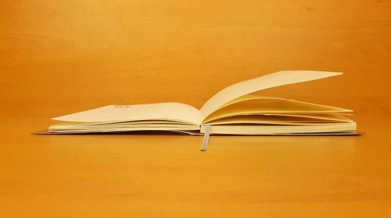 Petra Kerman: Zaboravljiva knjiga