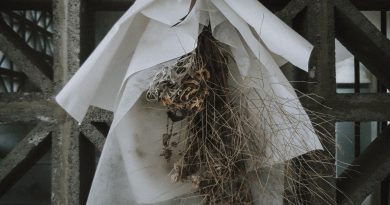 Domenika Potnik: Prijatelj u noći