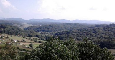 Marina Boršić: Moj zavičaj