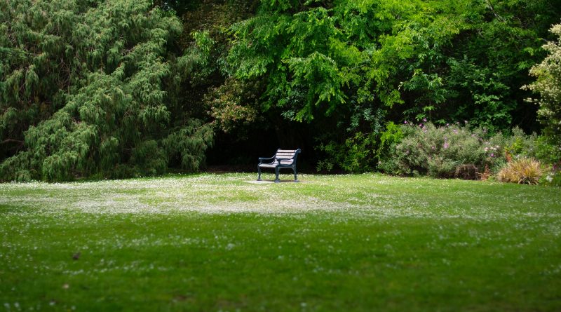 Sara Veličkovski: Tajanstveni park