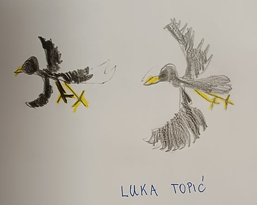 Luka Topić: Lastavica i vrana