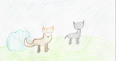 Ana Ceronja: Puma i lisica