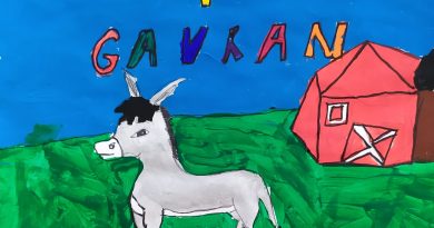 Gabriela Tadić: Gavran i magarac