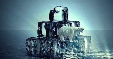 Marija Oštrkapa: Mogu sve jer imam supermoć