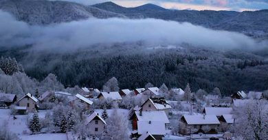 Andrija Štajduhar: Brod Moravice