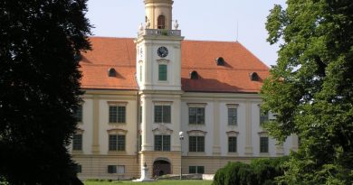Fabijan Pavošević: Legenda iz Valpova
