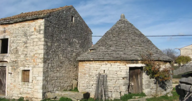 Jan Stefanini: Galižana