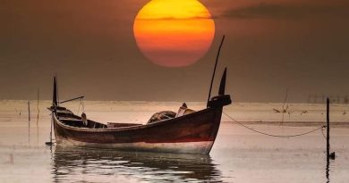 Paulina Galant: More