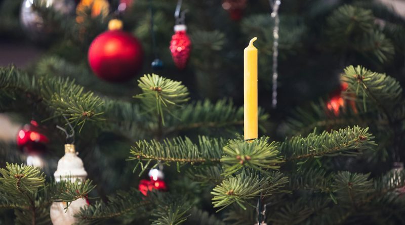 Sanja Rotim: MERRY CHRISTMAS