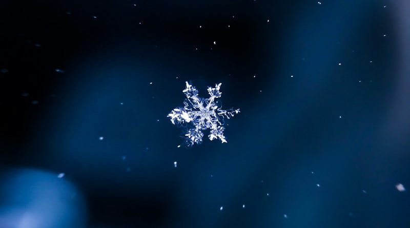 Leni – Evan Pužar: Lijek za Božić