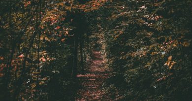 Tia Maria Mauzer: Opasan prečac