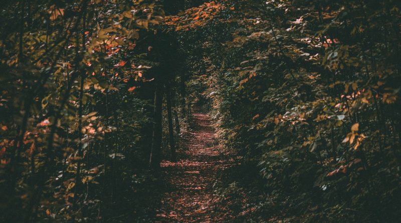 Tia Maria Mauzer: Opasan prečac